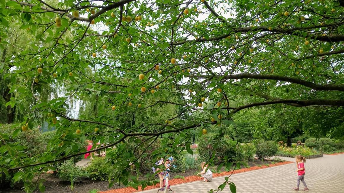 Apartment On Rusanivska Naberezhnaya 22 基輔 外观 照片